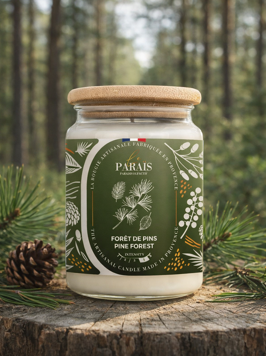 Bougie parfumée Forêt de pins