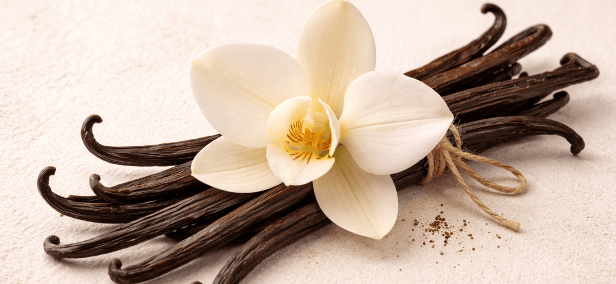 Univers olfactif du parfum Vanille Bourbon, Le Paraïs