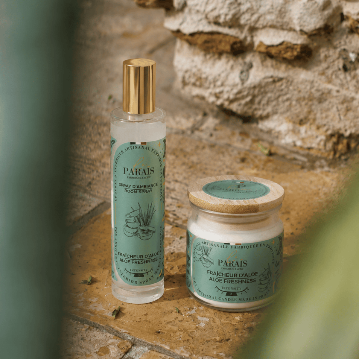 Bougie parfumée Fraîcheur d'Aloe